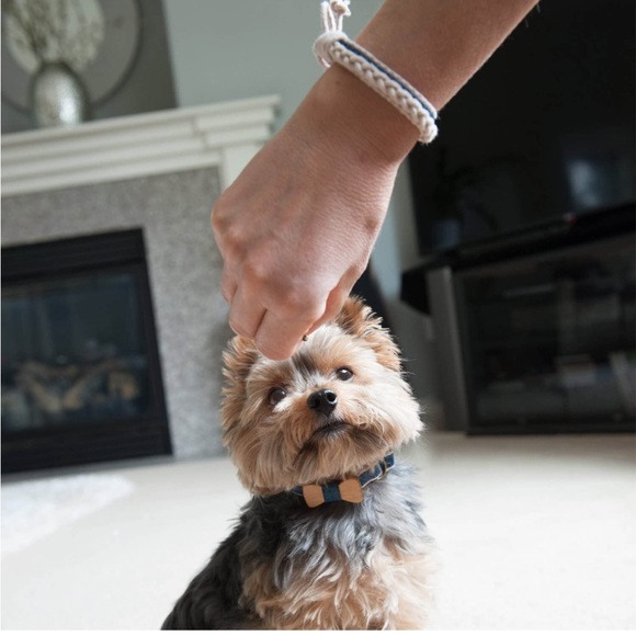 *DONATED* - Picture 10 of 13